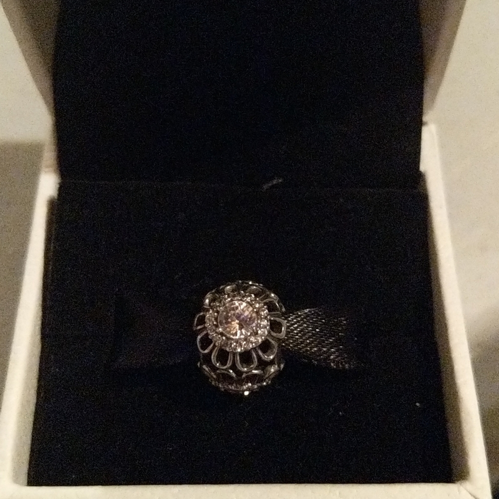Pandora Charm